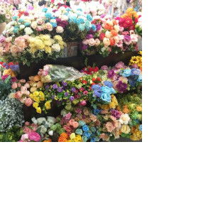 Juliana M Nur profile icon