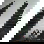 Siti Vilaca Urisa profile icon