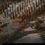 อรญา สงแป้น profile icon