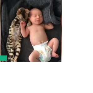 Lily Putri Fauziah profile icon