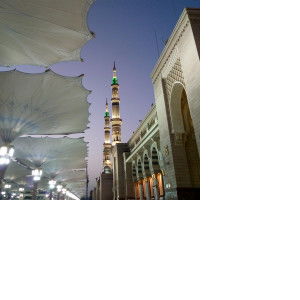 ummuabdillah.id profile icon