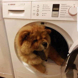 Prawa Prawa profile icon