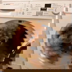 Prawa Prawa profile icon