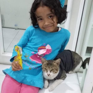 Sarifard profile icon