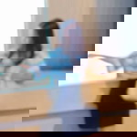 ผม'ฟู' ตัว'กลม' profile icon