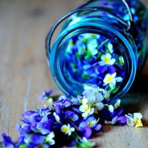 Zamzam Tamur profile icon