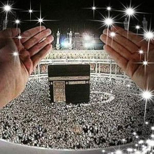 Fitra Fardiani profile icon