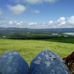 Soda Lemon profile icon