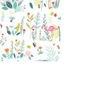 Anandya Rizki profile icon