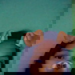 Janine Racca profile icon