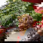 Lisna setya profile icon