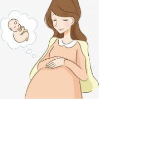 kamolnad profile icon