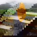 Zimah Areef profile icon