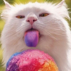 Nur Farahana Iqmal profile icon