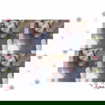 A'anukul K'kanitha profile icon