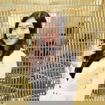 May Ratchanee profile icon