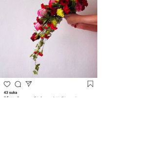 Ennyrolica profile icon