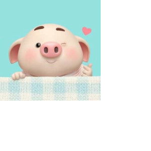 หมูหมู profile icon