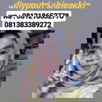 Shineskin Dini Putri profile icon