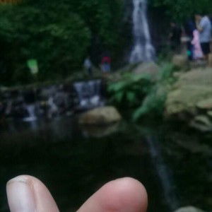 Rima Puspitasari profile icon