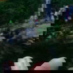 Rima Puspitasari profile icon