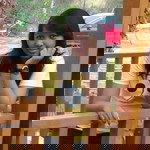 Fitri Alfiatin profile icon