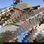 La la'Little Bee profile icon