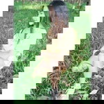 Atcharapan Orakul profile icon