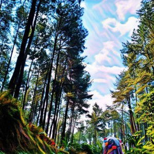 Ratih Utria profile icon