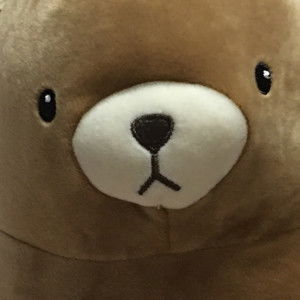 Bear Bear profile icon