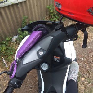 Lily Iendah profile icon