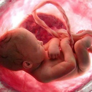 Eiyra Fieza profile icon