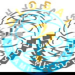 Toipah Hamdi profile icon
