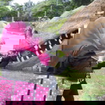 eira biey profile icon