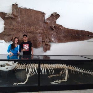 Maglinte Bargoyo Aya profile icon