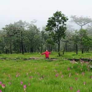 Narumol Iamthirakul profile icon