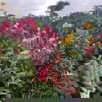 Helen Rolle profile icon