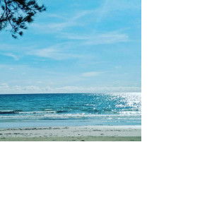 Alizah_t profile icon