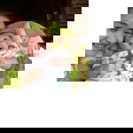 Serli Sofia profile icon