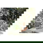 AirraRii's Moonshine profile icon