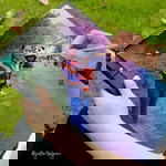 May Sukantapakdee profile icon