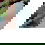 Krida Nur Widah profile icon