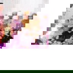 Zarifi Atiqah profile icon