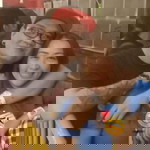 Avigaille Reyes profile icon