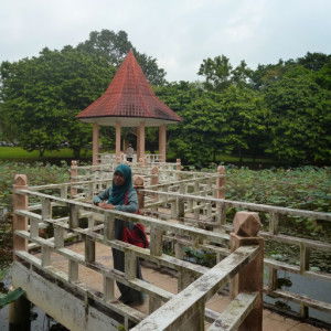 Hani Ahmad profile icon