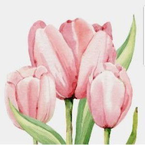 melly frigina profile icon