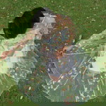 Zaii Lom'z profile icon