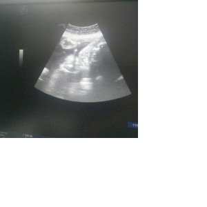 supermom profile icon