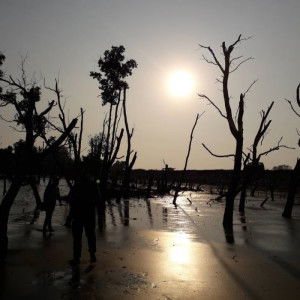 Anis Lelo profile icon