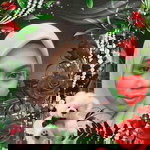 Nur Fariha Binti Shaidi profile icon